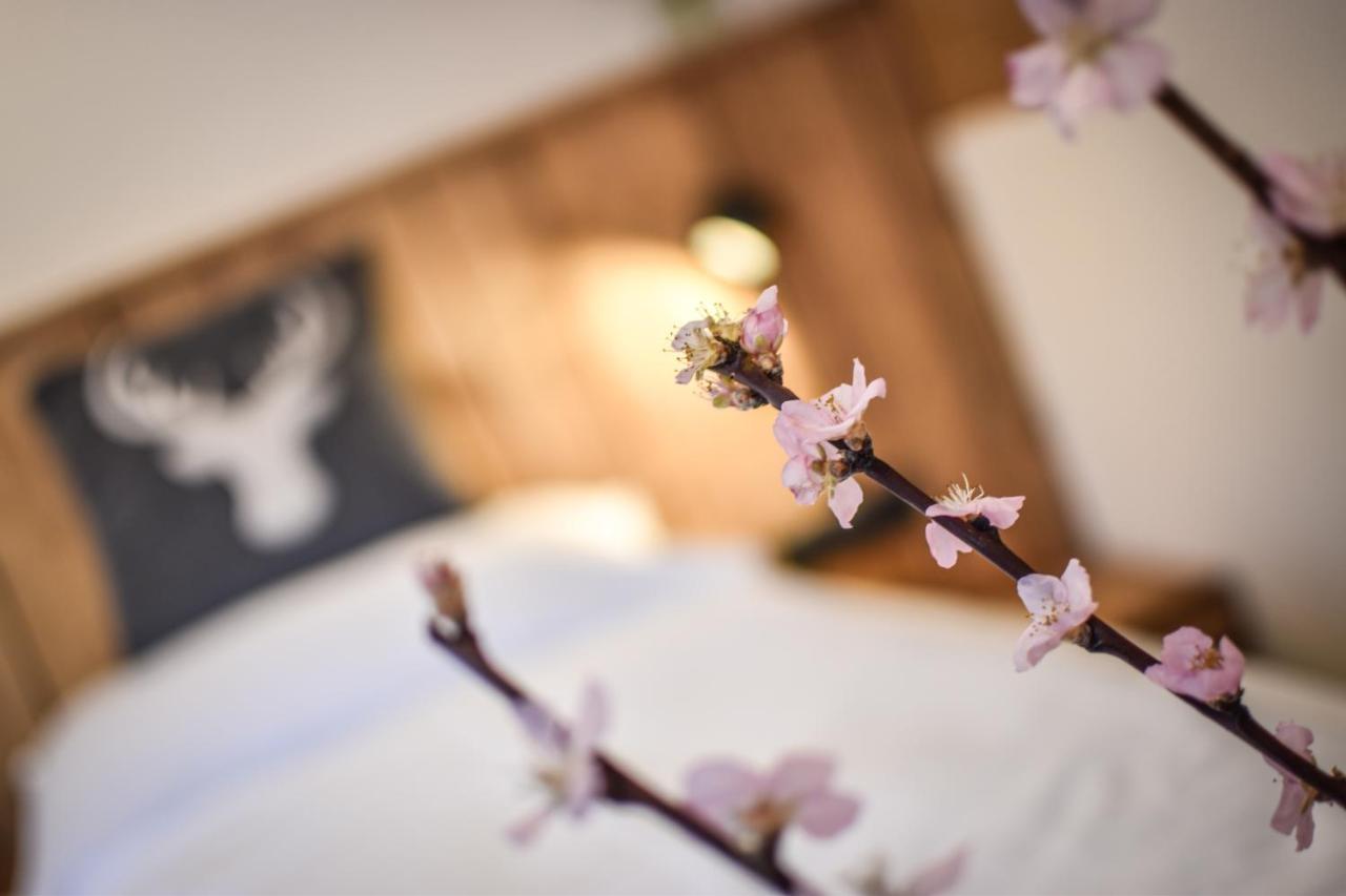 Luxx Lodges - Holzgau - Lechtal - Arlberg Zewnętrze zdjęcie